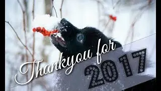 Tassujen Taikaa || Thankyou for 2017