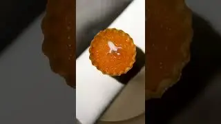 What a 16 Course Dinner Looks Like