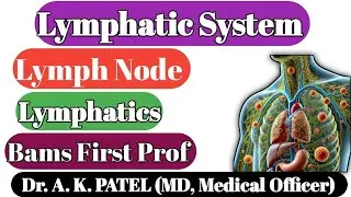 Lymphatic system anatomy, lymph, lymph vessels, Bams first prof Ncism syllabus
