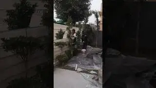 Texture Paint on Boundary Wall #contentcreator #shorts #shortvideo #short