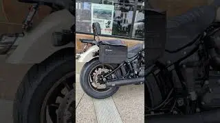 Badass 2023 Low Rider S #harleydavidson #shorts