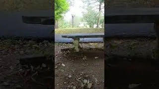 Ant Insect in Islamabad Park Vlog Short