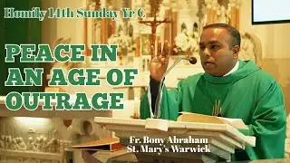 Peace in an age of Outrage: 14th Sunday Homily