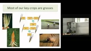 Prof  Sue Hartley Public Lecture 9 June15