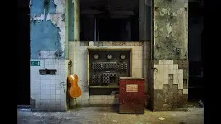 Michał Dobrzyński- 