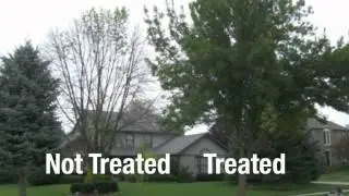 Arbor Jet and Arapahoe Tree Surgeons