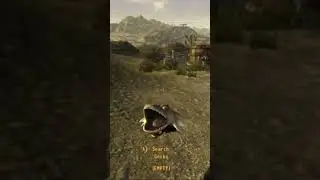 Gecko ventriloquism in #falloutnewvegas #gaming #fallout #funny #memes #comedy #letsplay