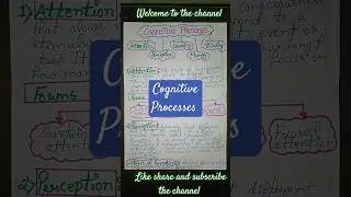 Cognitive processes#💥🧐#shorts#psychology#HP TET CTET