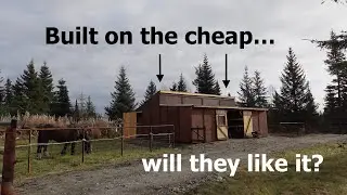 A 4-horse barn for under 5k? (full build)