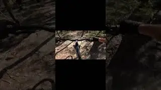 Stuffed that up at Mill Creek MTB Trails | #twlbj #millcreek #millcreekmtb