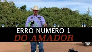 DANIEL ALFARO | Erro numero 1 do Amador - Mao Esquerda | Team Roping | La&ccedil;o em Dupla