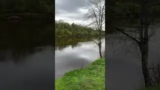 Река. Природа. Просторы. Красота. Раздолье. #live #travel #chill #люблюприроду #путешествия
