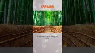 The Samurai and the Philosophy of Imperfection