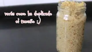 LECHE DE QUINOA