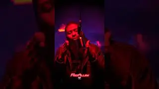 Wyise Cyber Truck Freestyle