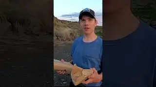 SURVIVAL Carp Catch & Cook! Is it any good? #survival #Catch&cook #fishing