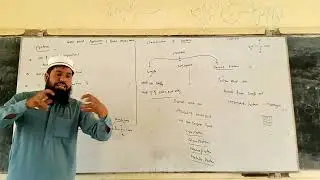 what are protein ? How protein can  be classified?simple and conjugated @chemistrywithmoddasser6215