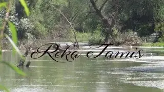 Reka Tamis