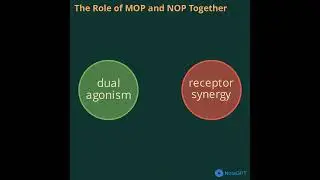 Dual NMR NOP MOP Agonism