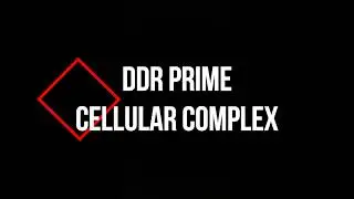 Intro to DDR Prime Oil blend