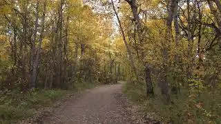 Beautiful, Calming October Park Walk, recharge and relax in Nature 