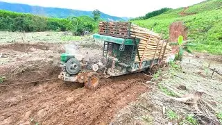 Trapped in Solid Mud! Small Logging Truck Fights to Escape