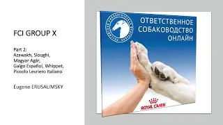 Особенности судейства десяти групп пород FCI Группа X (ч.2) | &laquo;Ответственное собаководство онлайн&raquo;