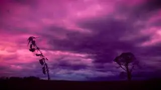 Frozen Shores - Blood Box