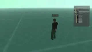 Virtual Worlds in the Future