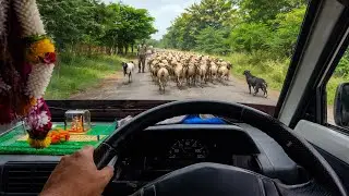 POV Super Carry Driving on Village Roads | Real Life Daily Work Experience