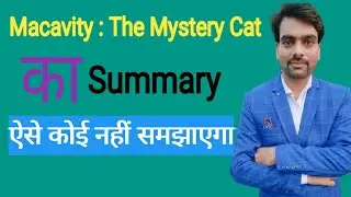 macavity the mystery cat summary/macavity the mystery cat ka summary