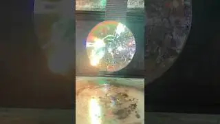 Разогрев компакт-диска в микроволновке был ошибкой.. 💿🔥