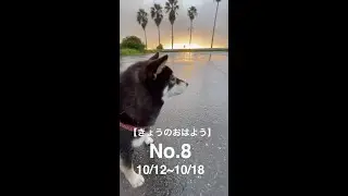 【きょうのおはよう】No.8【10/12~10/18】