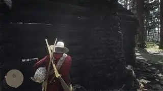 RDR2 Best location to find the coastal horned owl Evelyn Miller's cabin