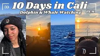 Dolphin & Whale Watching in Cali || 10 Day Vacay in Cali Pt. 4
