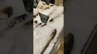 Мытищи ТРЦ Июнь Окей Рыба 861 Цены #shorts Fish Prices 魚 मछली 물고기 سمكة Fisch Poisson Pez Peixe Балық