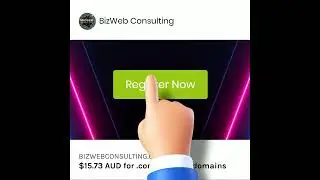 Register your Domain Name for Your Business with BizWeb Consulting