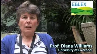 Liver fluke: developing new management tools for control and prevention
