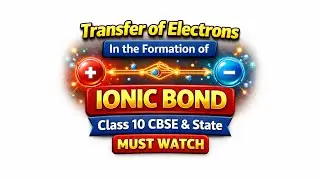 Ionic Bond Formation Made Easy | Must Watch | Class 10 | NaCl, MgO, Na₂O & MgCl₂ |  CBSE & State 
