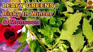 LEAFY GREENS. GREEN LEAVES. Green Leafy Vegetables. Risky In Winter & Monsoon Seasons. Too Much Ca.