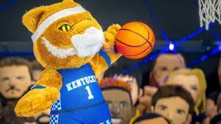 Kentucky Wildcats Wildcat 10