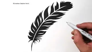 How to Draw a Feather | SVG Design Cut Files / JSHcreates