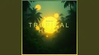 Under the Palms