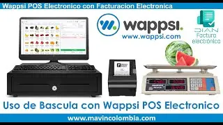 Wappsi Facturacion Electronica con Bascula Moresco de 30 Kilogramos, Factura DIAN para Fruvers