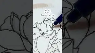 Drawing the red torch ginger flower for day 272 of my challenge 😍💐✨
