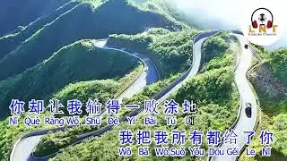 忘了所有忘不了你 Wang Le Suo You Wang Bu Liao Ni  -  Wang Na 王娜   ( Karaoke )