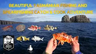 BEAUTIFUL Tasmanian Spearfishing And Deep Sea Fishing Adventure