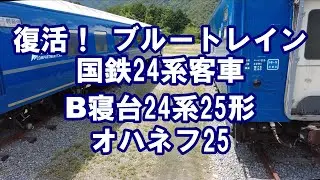 ブルートレイン　国鉄24系客車　B寝台オハネフ25形　雲辺寺ロープウェイ山麓駅駐車場　2022年6月23日
