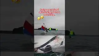 Racing an Optimist dinghy but you&rsquo;re 38, 1.80m tall, and weigh 75 kg&hellip; 😅🤣