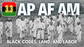 AP AFAM #38 - 3.3: Черные кодексы, земля и труд